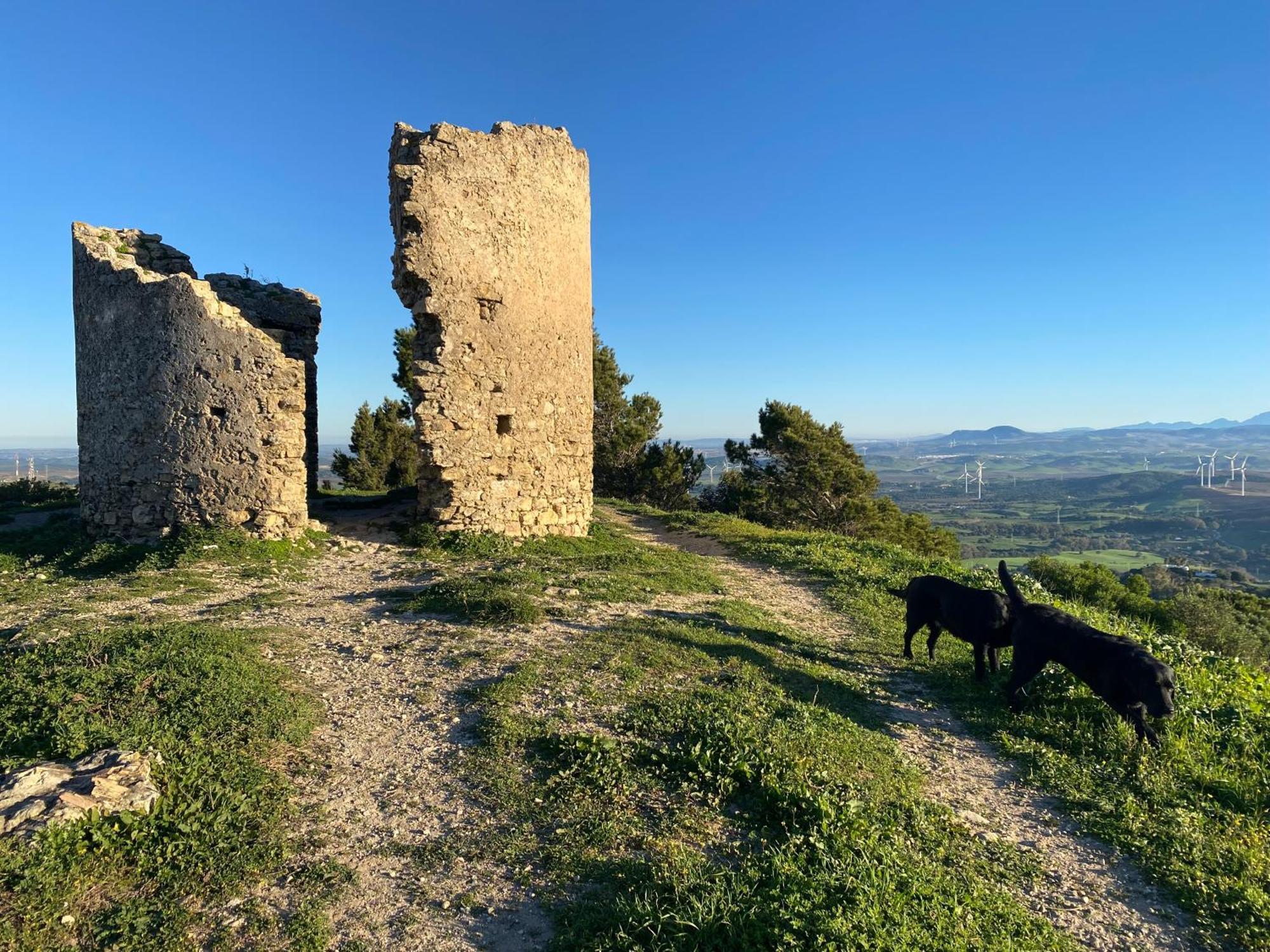 Victoria Seis Hotell Medina-Sidonia Exteriör bild